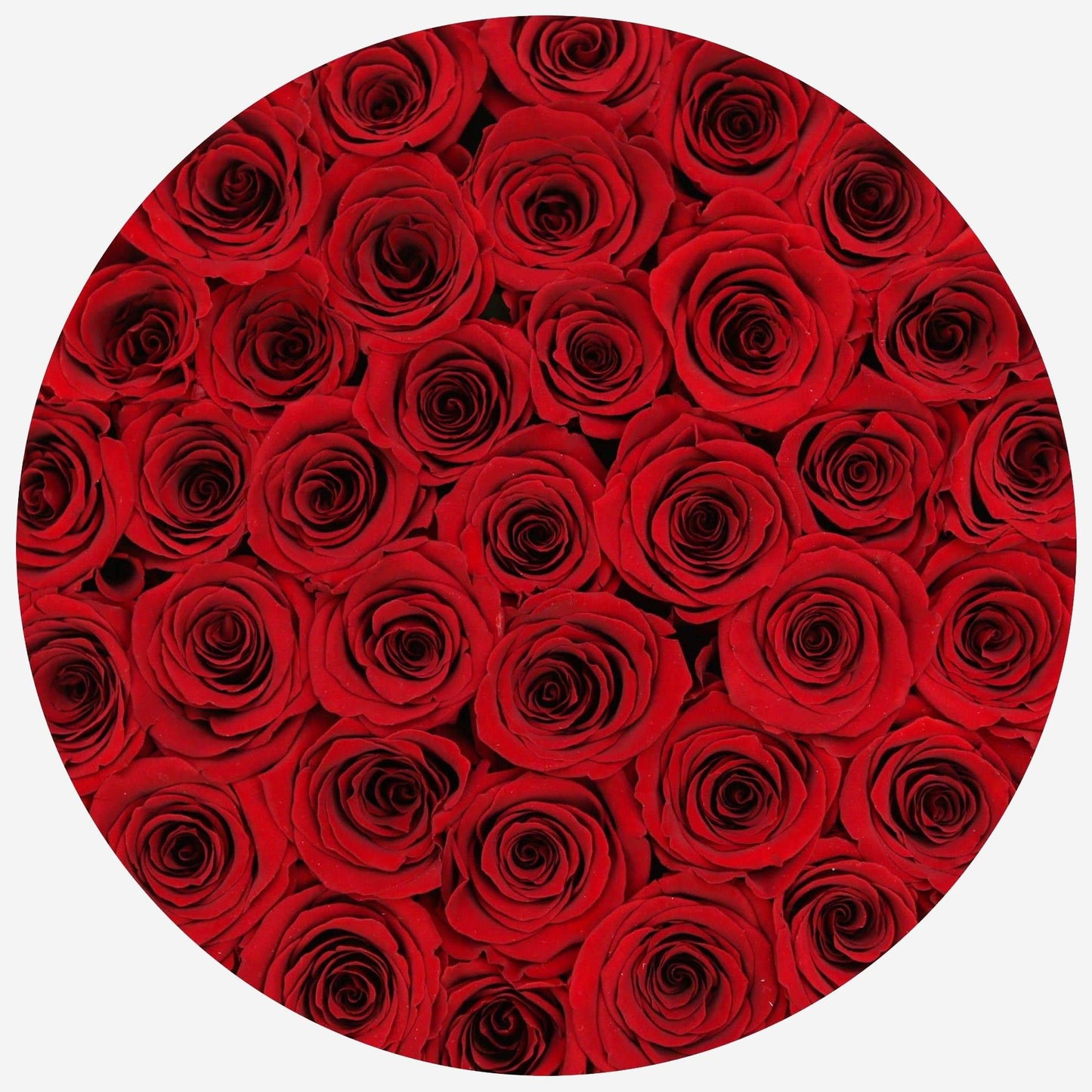 Supreme Black Box | Red Roses